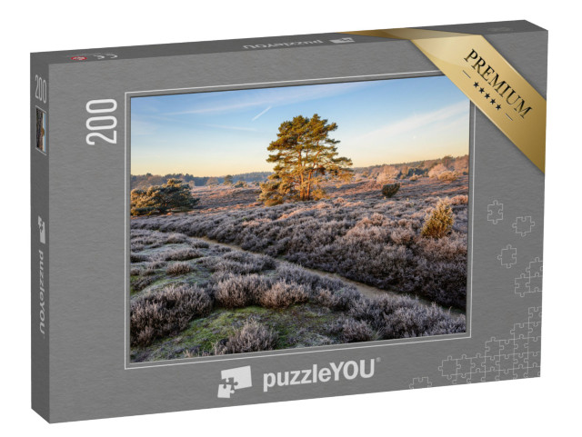 Puzzel 200 stukjes „Wandelpad door een heidelandschap in de landelijke Nederlandse provincie Drenthe“