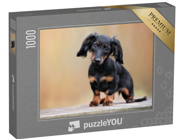 Puzzel 1000 stukjes „Zwarte teckel puppy buiten“