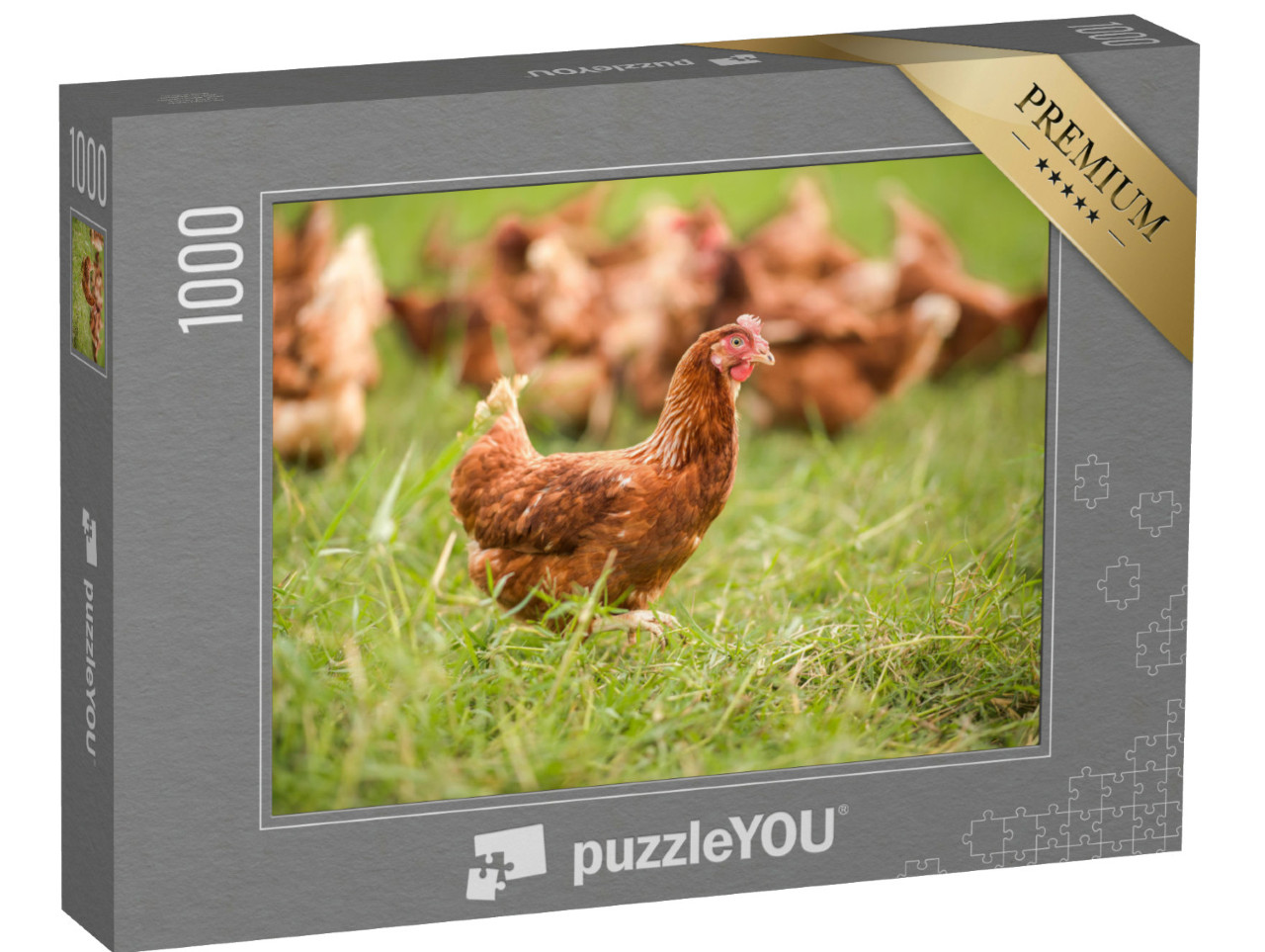 Puzzel 1000 stukjes „Kippen in de wei“