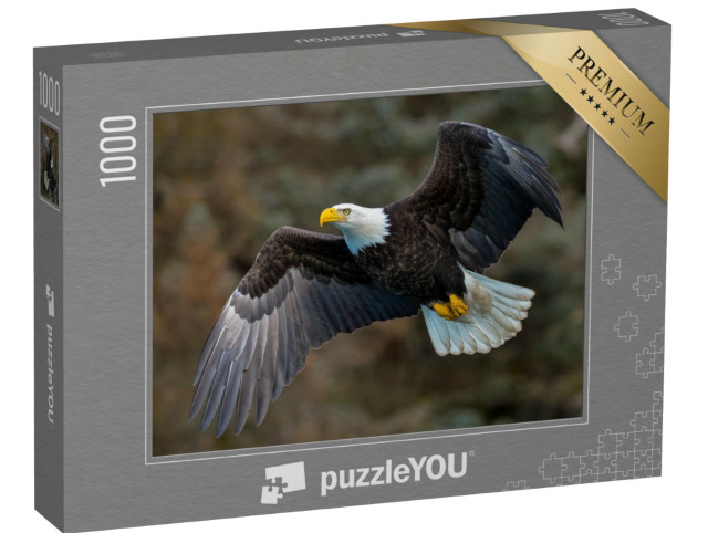 Puzzel 1000 stukjes „Zeearend op een berghelling in Alaska“