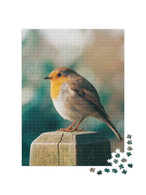Puzzel 1000 stukjes „Een roodborstje op een hekpaal“