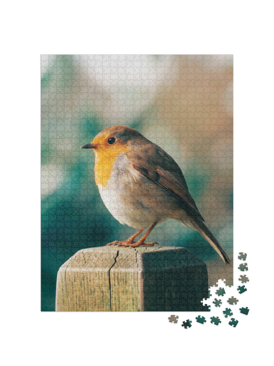 Puzzel 1000 stukjes „Een roodborstje op een hekpaal“