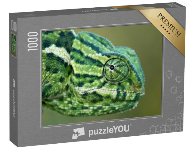 Puzzel 1000 stukjes „Een kameleon“