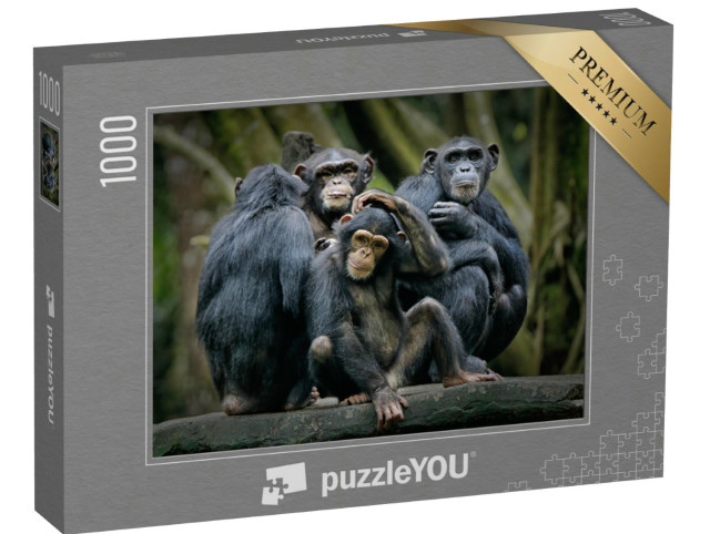 Puzzel 1000 stukjes „Chimpansees“