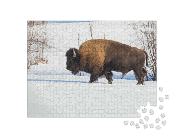 Puzzel 1000 stukjes „Amerikaanse bizons midden in het winterlandschap“