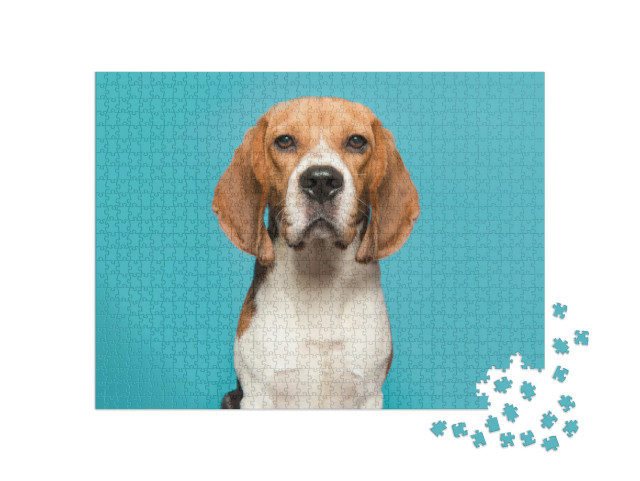 Puzzel 1000 stukjes „Portret van een beagle“