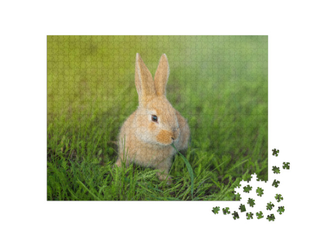 Puzzel 1000 stukjes „Schattig konijn kauwend in het groene gras“