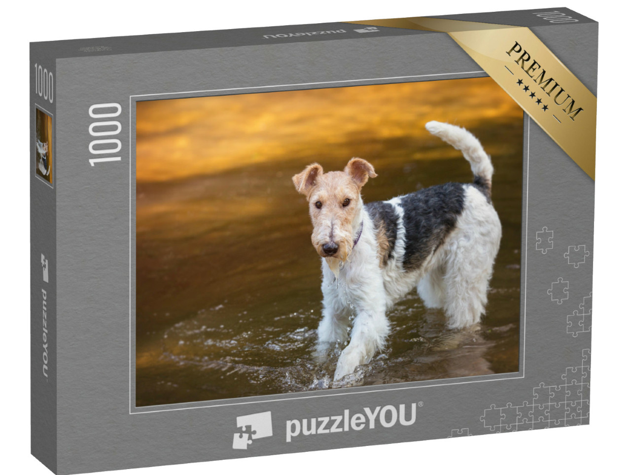 Puzzel 1000 stukjes „Draadharige foxterriër speelt in het water“