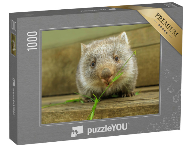 Puzzel 1000 stukjes „Schattige wombat welp aan het eten“