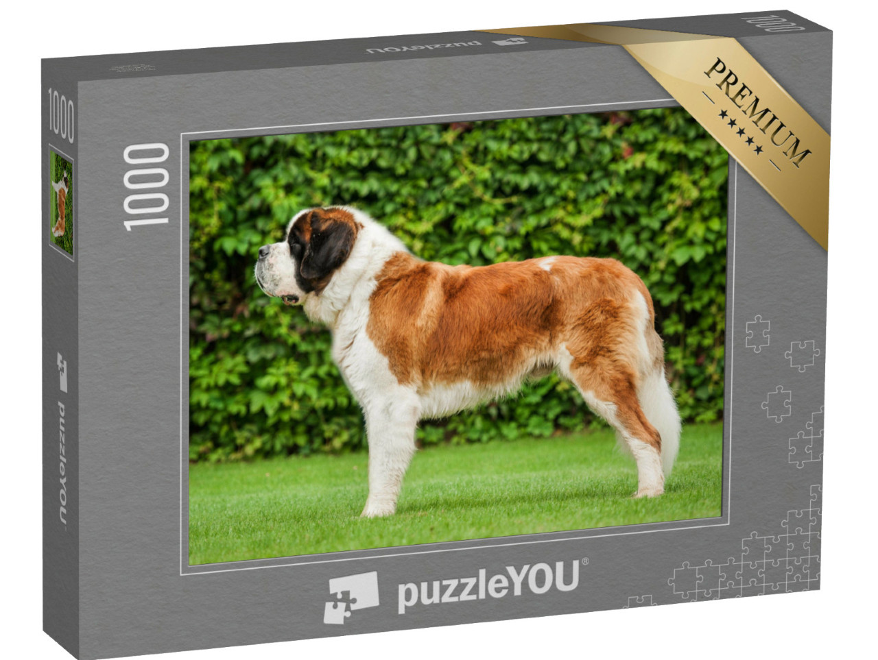 Puzzel 1000 stukjes „Sint Bernard op het gazon“