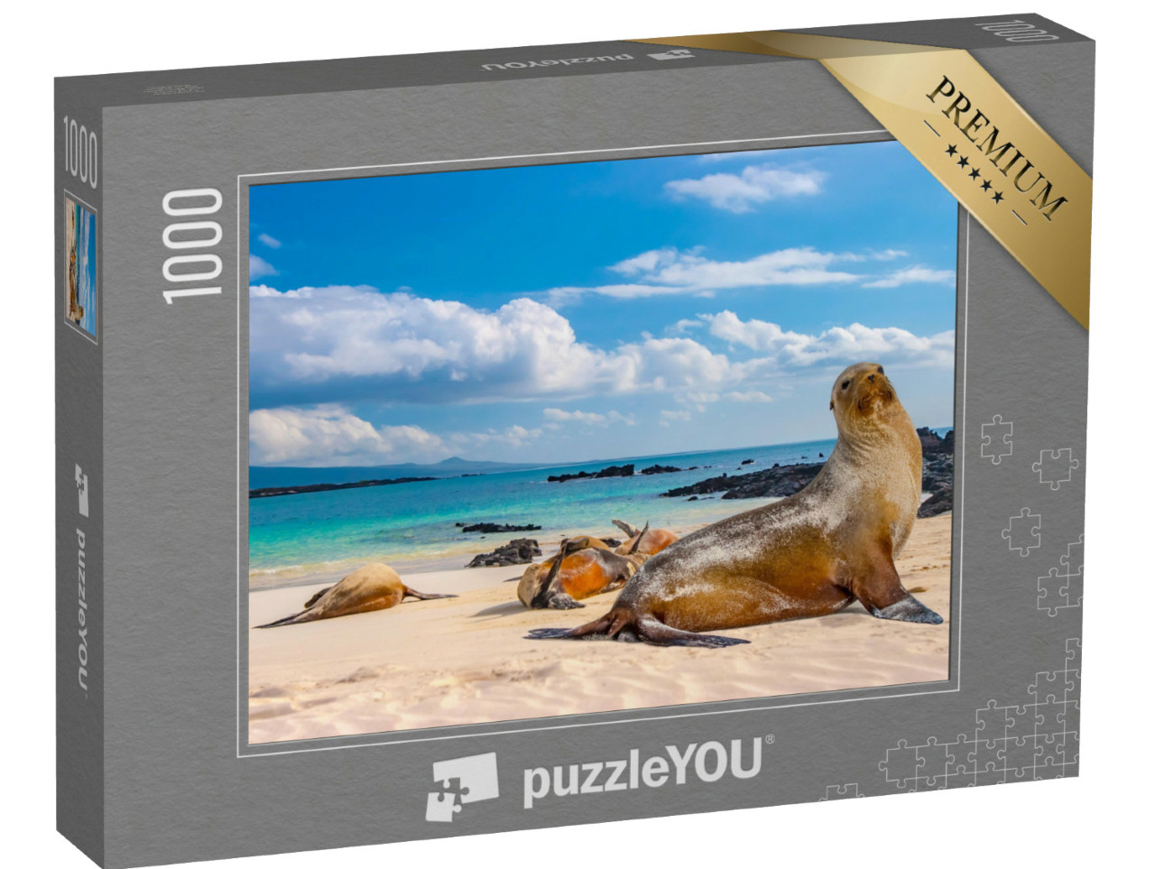 Puzzel 1000 stukjes „Zeehonden op het strand van de Galapagoseilanden, Ecuador“