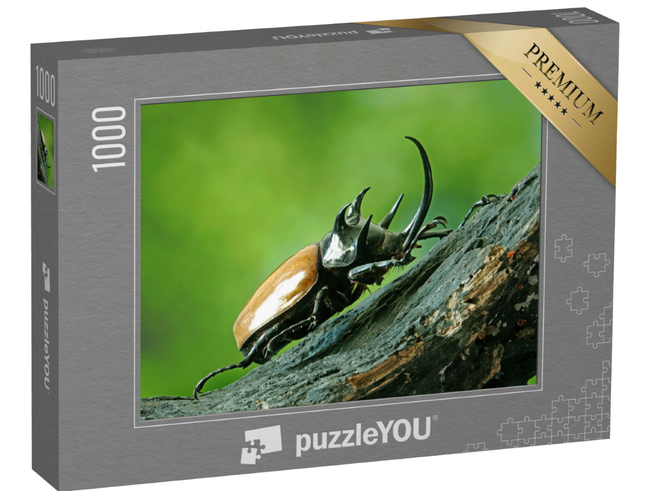Puzzel 1000 stukjes „Vijfhoornige neushoornkever, ook bekend als Herculeskever“