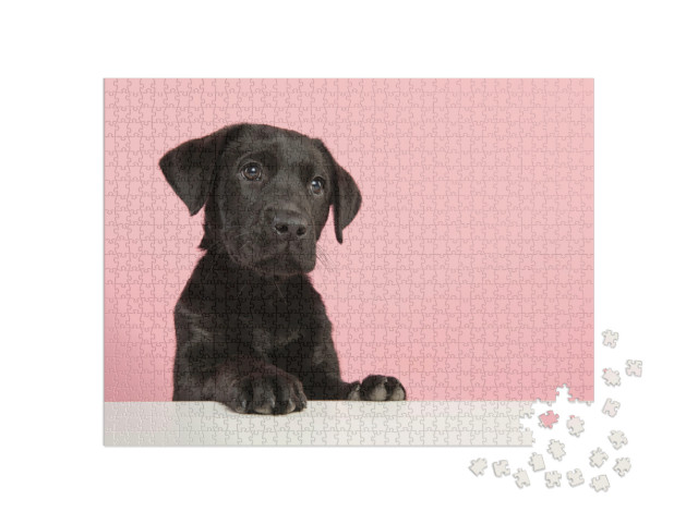 Puzzel 1000 stukjes „Schattige zwarte Labrador pup“