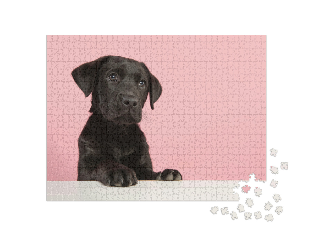Puzzel 1000 stukjes „Schattige zwarte Labrador pup“