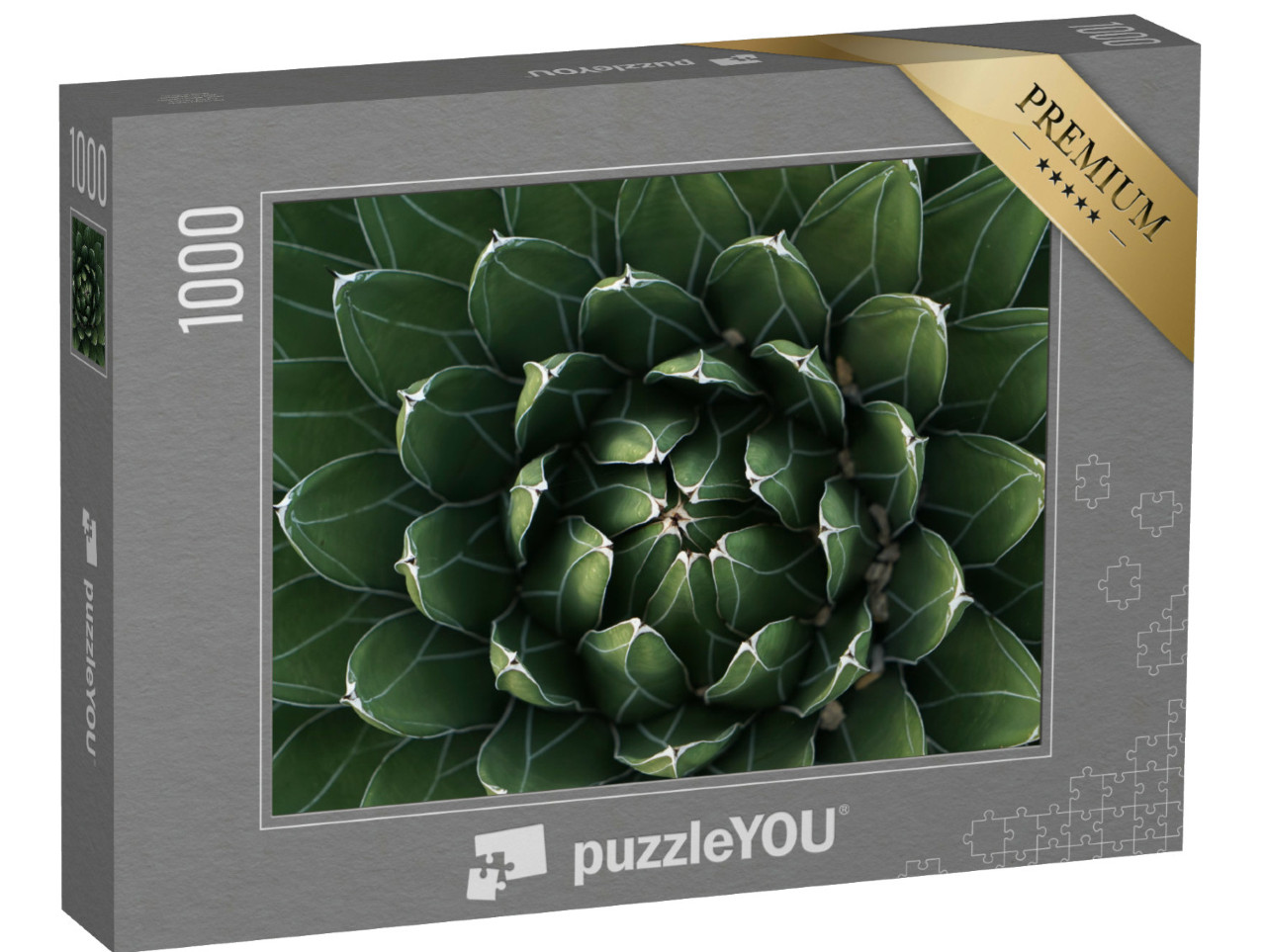 Puzzel 1000 stukjes „Prachtig symmetrische cactus in close-up“