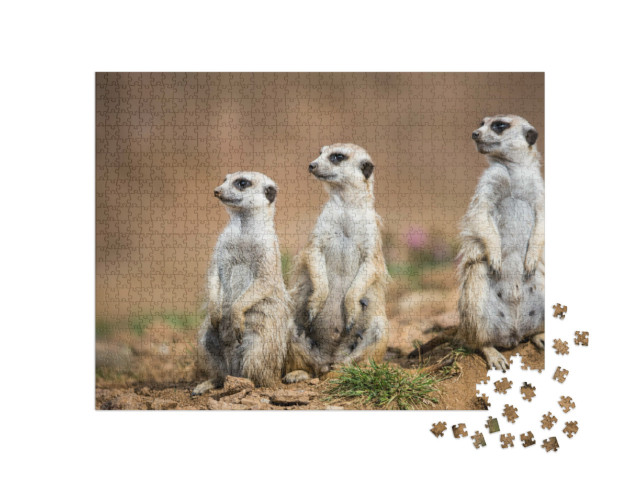 Puzzel 1000 stukjes „Stokstaartjes houden de wacht“