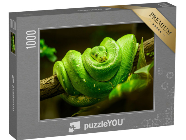 Puzzel 1000 stukjes „Groene slang op de tak“