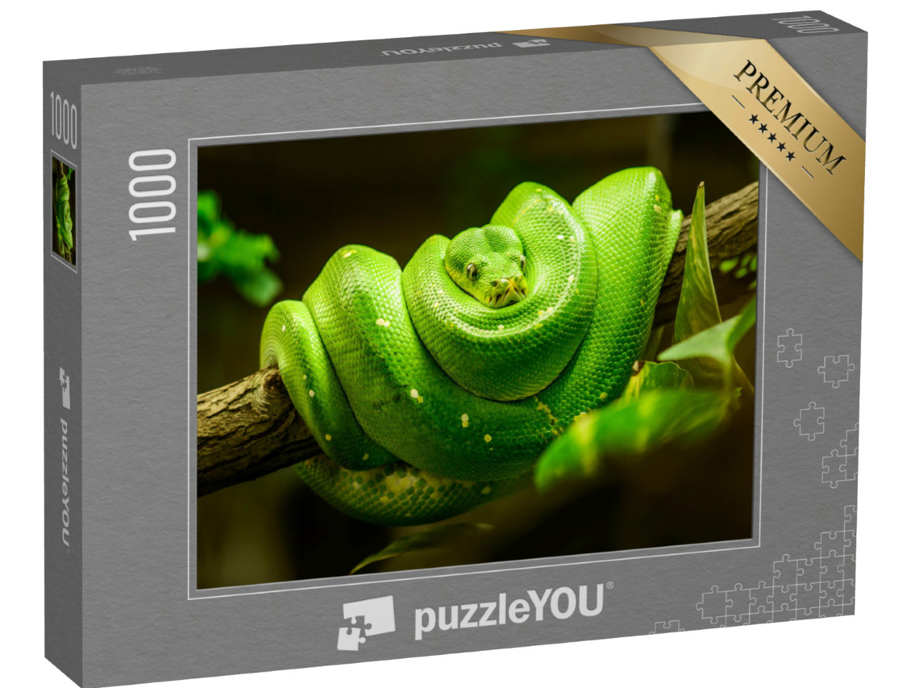 Puzzel 1000 stukjes „Groene slang op de tak“