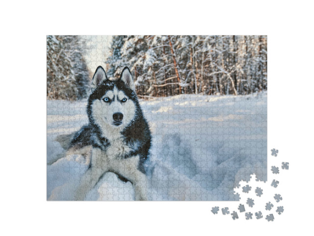 Puzzel 1000 stukjes „Husky in de sneeuw“