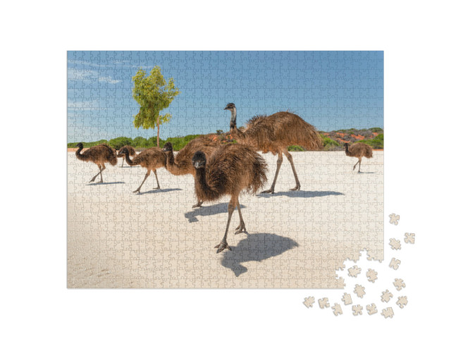 Puzzel 1000 stukjes „Emoe familie bij Shark Bay, Francois Peron Nationaal Park, Monkey Mia“
