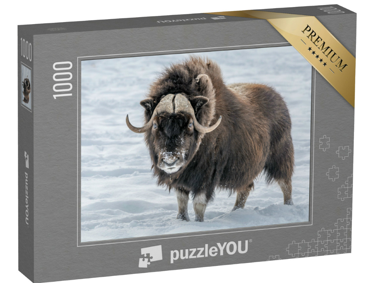 Puzzel 1000 stukjes „Muskusos in de sneeuw“