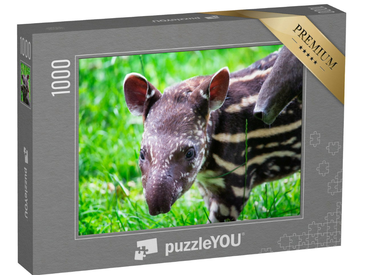 Puzzel 1000 stukjes „Negen dagen oude tapir in het groene gras“