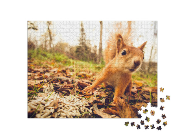 Puzzel 1000 stukjes „Eekhoorns in het bos“