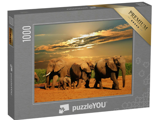 Puzzel 1000 stukjes „Afrikaanse olifantenkudde, Addo Elephant National Park, Zuid-Afrika“