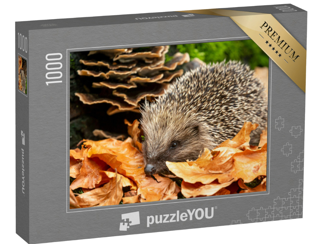 Puzzel 1000 stukjes „Schattige egel in de herfstbladeren“