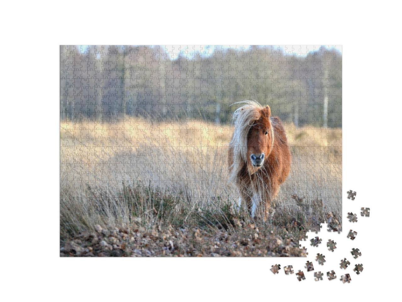 Puzzel 1000 stukjes „Mooie pony“