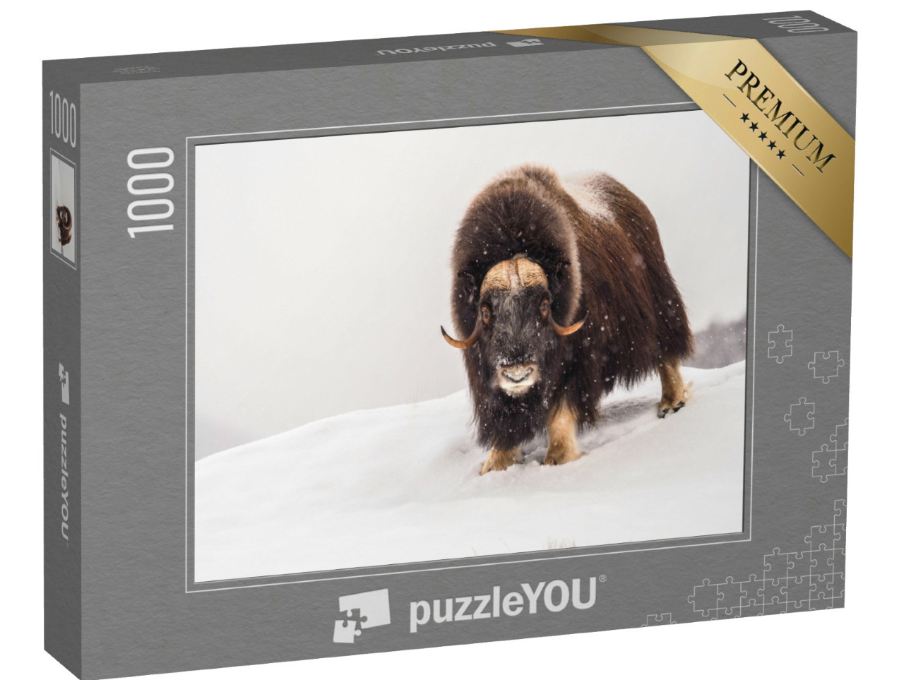Puzzel 1000 stukjes „Muskusos in de poolwinter“
