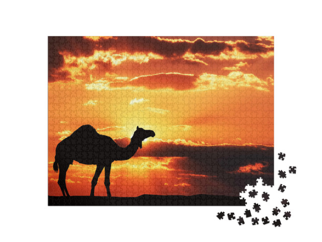Puzzel 1000 stukjes „Silhouet van een kameel in Afrika“
