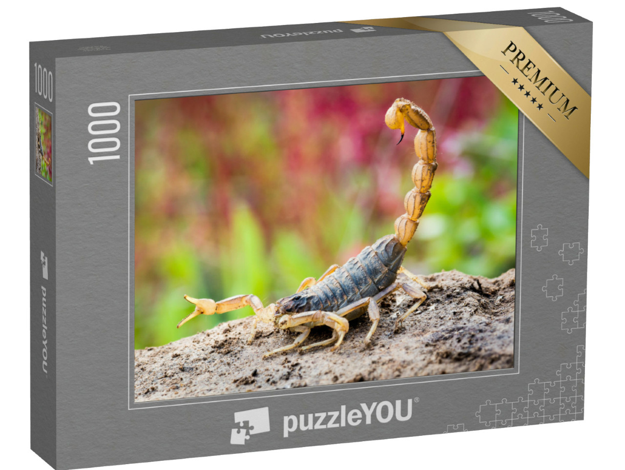 Puzzel 1000 stukjes „Schorpioen in aanvalspositie“