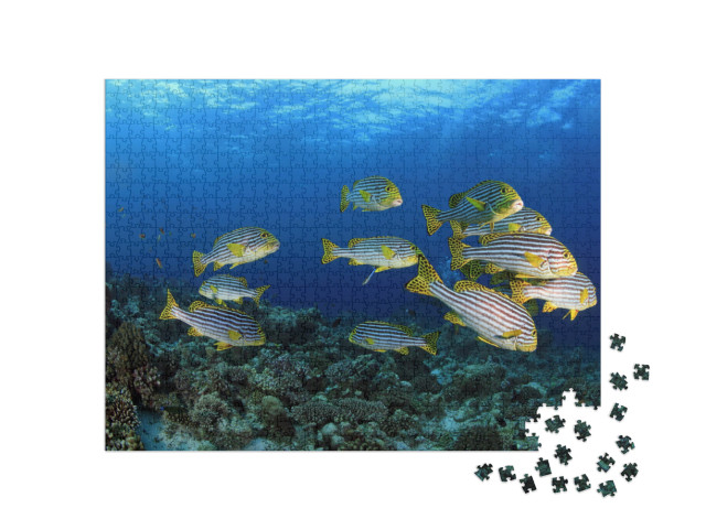 Puzzel 1000 stukjes „Oosterse schatjes in de tropische wateren van de Malediven“