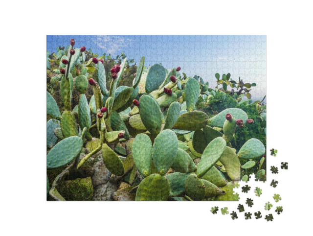 Puzzel 1000 stukjes „Cactusveld bij Mexico-stad“