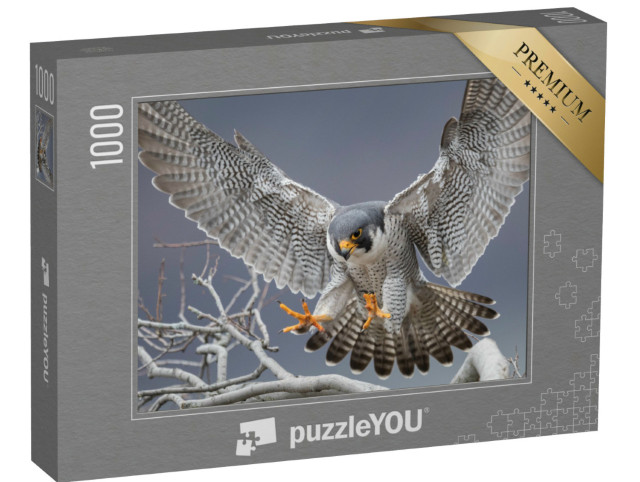 Puzzel 1000 stukjes „Slechtvalk in New Jersey“