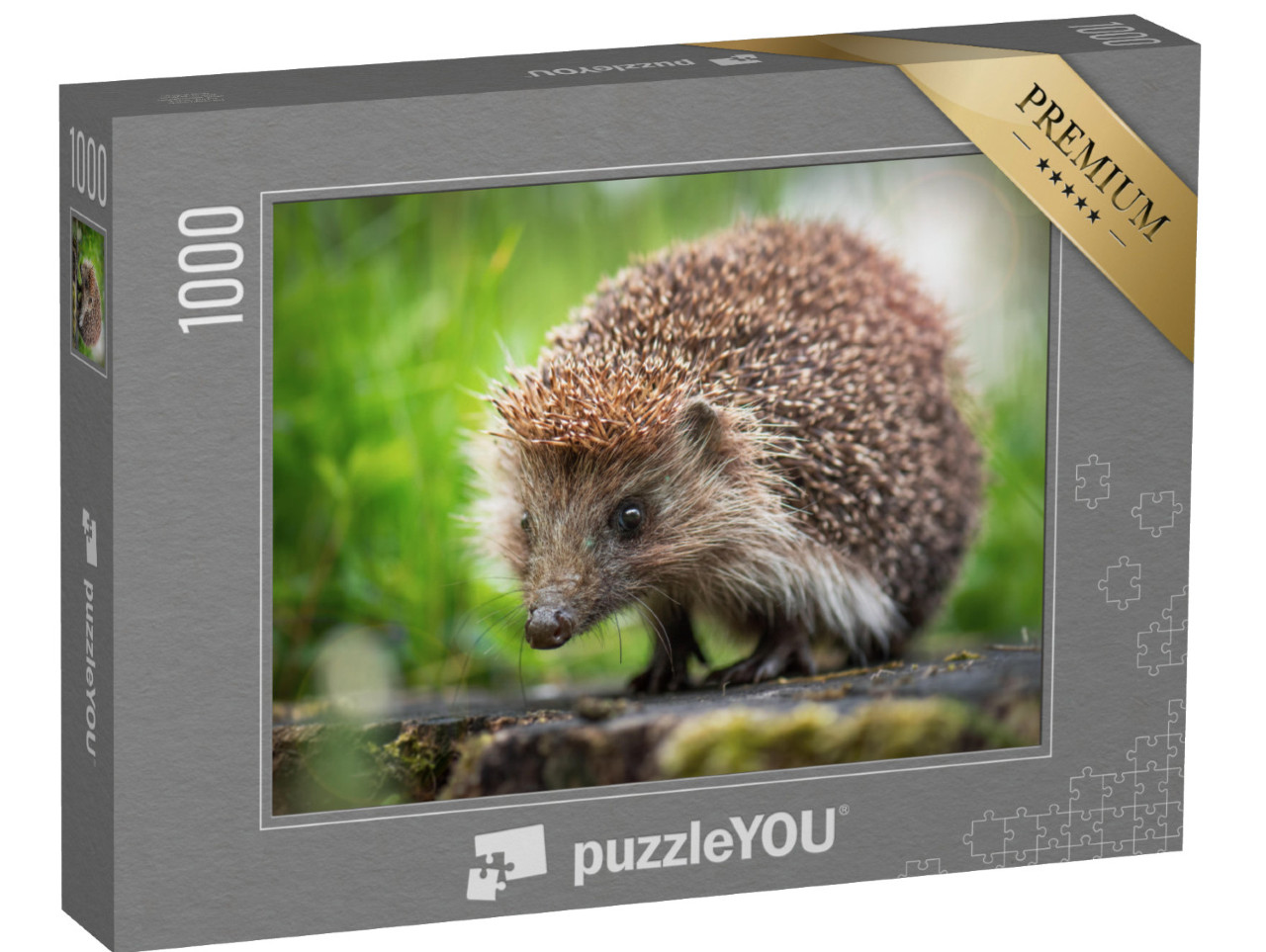 Puzzel 1000 stukjes „Een kleine egel op een boomstronk“