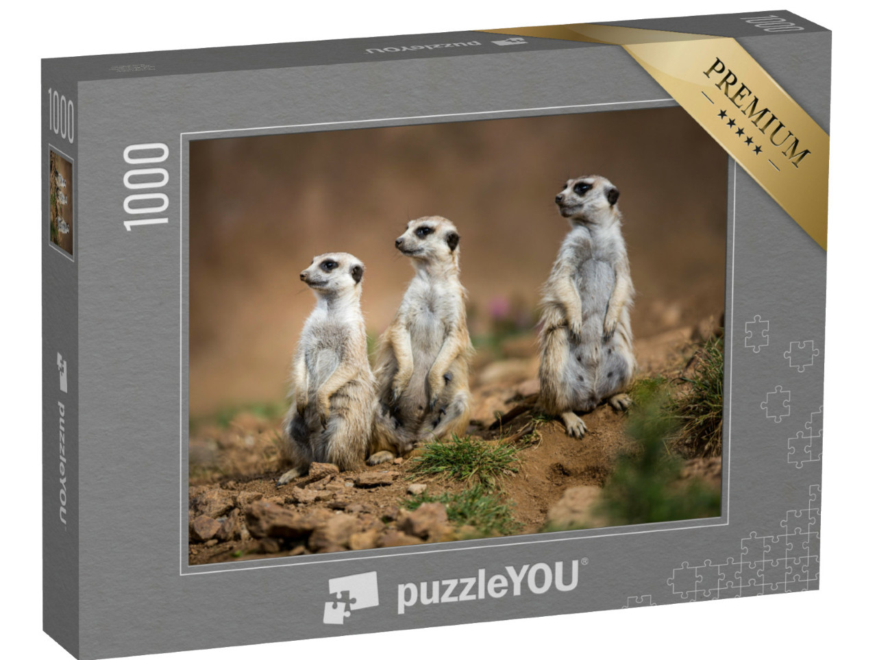 Puzzel 1000 stukjes „Waakzame stokstaartjes“