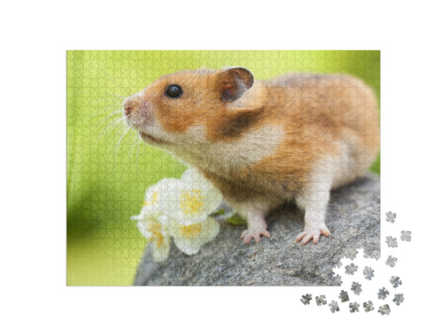 Puzzel 1000 stukjes „Schattige hamster op een steen“