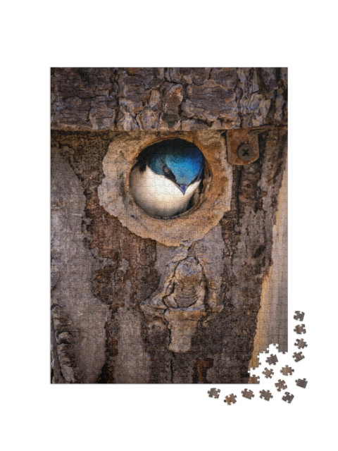 Puzzel 1000 stukjes „Een boerenzwaluw waagt zich uit zijn nest in een boomstam“