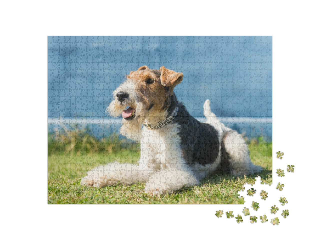 Puzzel 1000 stukjes „Vrolijke vos terriër“