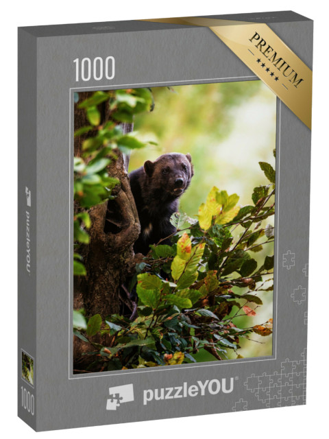 Puzzel 1000 stukjes „Een veelvraat klimt in een boom“
