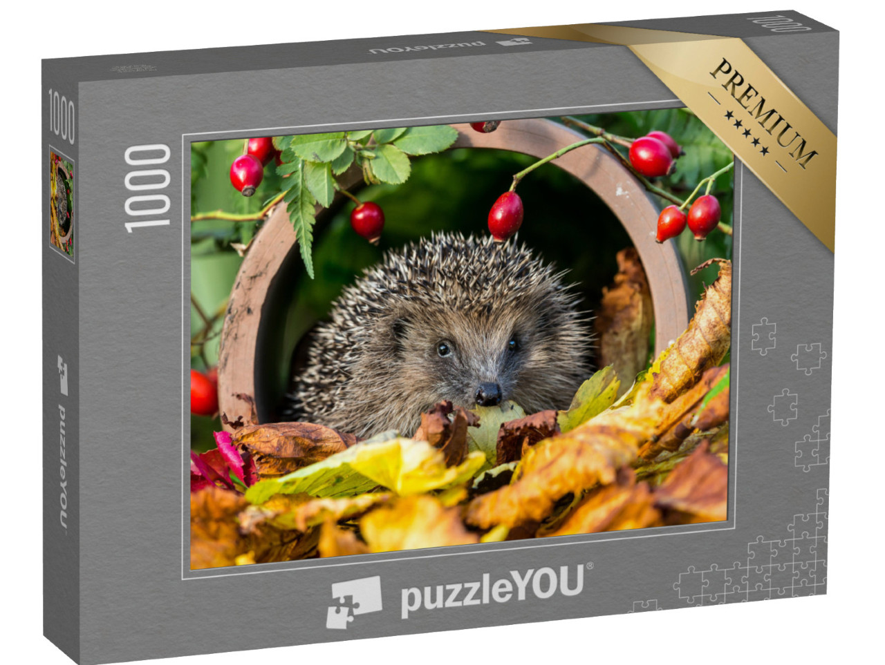 Puzzel 1000 stukjes „Egels in gouden herfstbladeren“