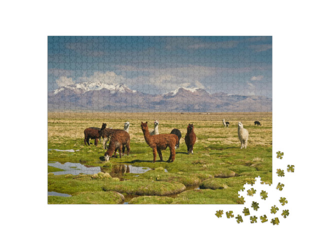Puzzel 1000 stukjes „Lama's in de Andes“