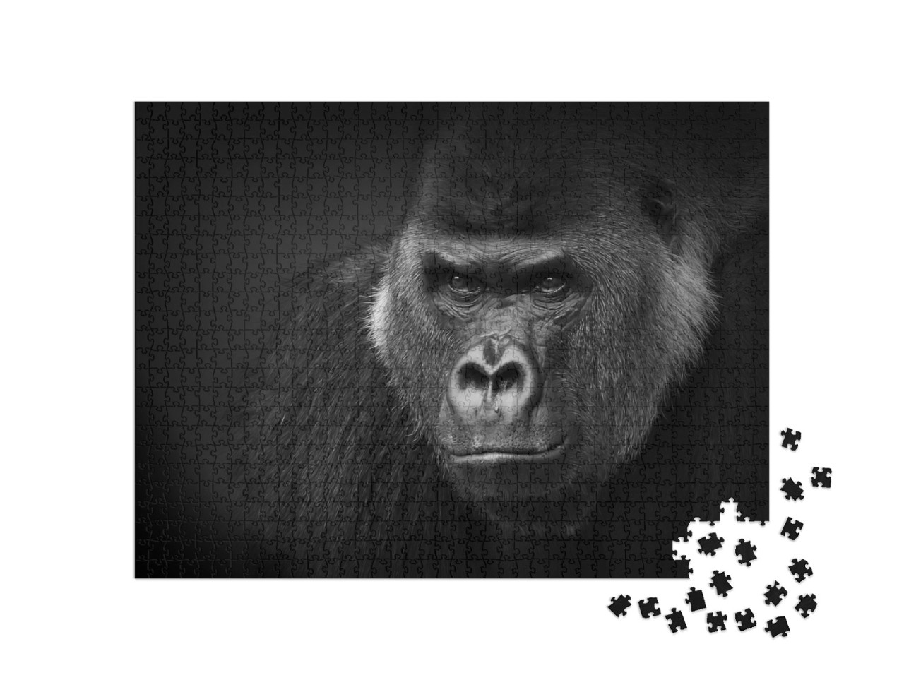 Puzzel 1000 stukjes „Close-up van een gevaarlijk uitziende zilverrug, gorilla“