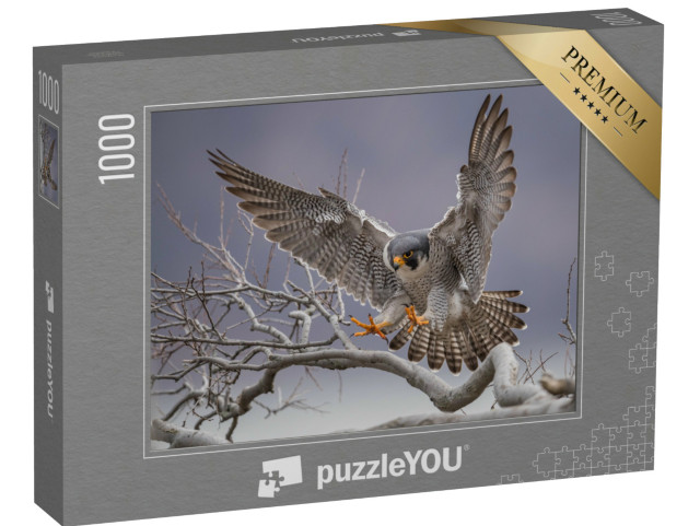 Puzzel 1000 stukjes „Slechtvalk landend op een tak“