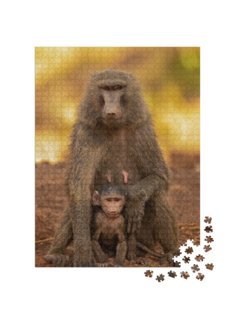 Puzzel 1000 stukjes „Familie- en gedragsportret van olijfbavianen, Nationaal Park Pendjari, Benin“