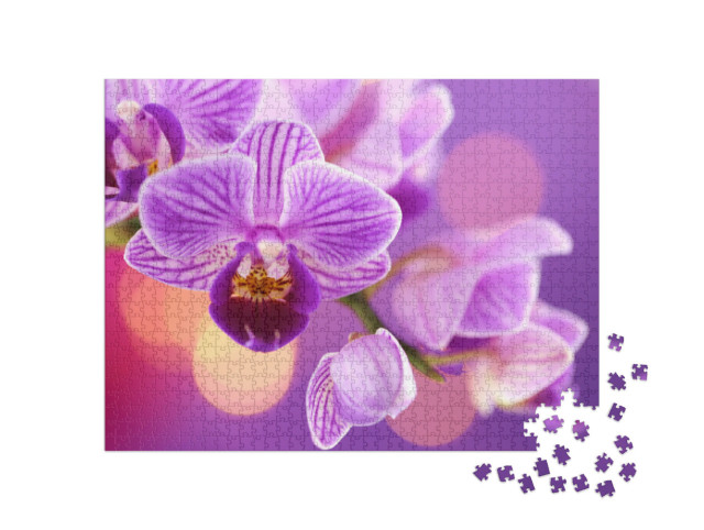 Puzzel 1000 stukjes „Een orchidee“