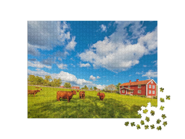 Puzzel 1000 stukjes „Hooglanders voor oude houten boerderijen, Smaland, Zweden“