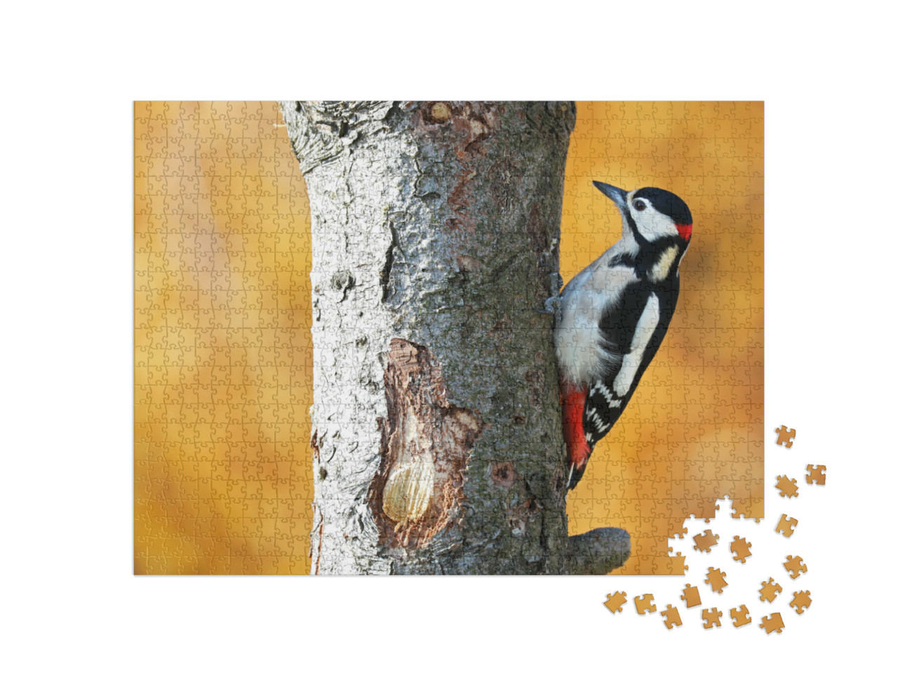 Puzzel 1000 stukjes „Grote bonte specht in het herfstbos“